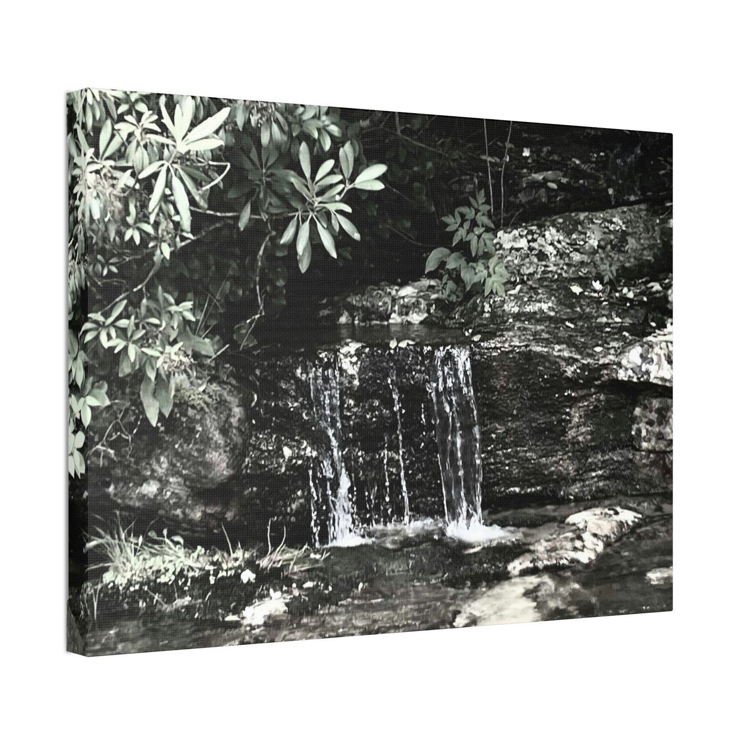 B&W Mini Falls