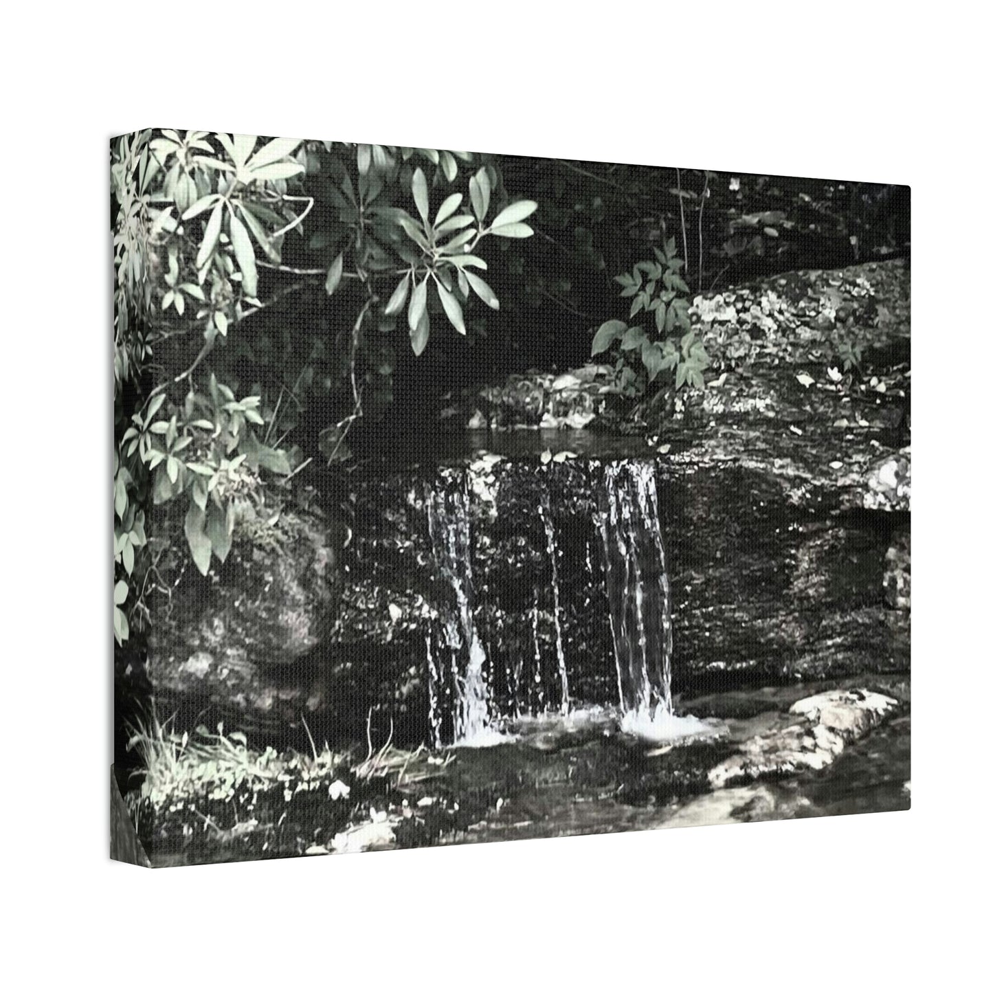 B&W Mini Falls