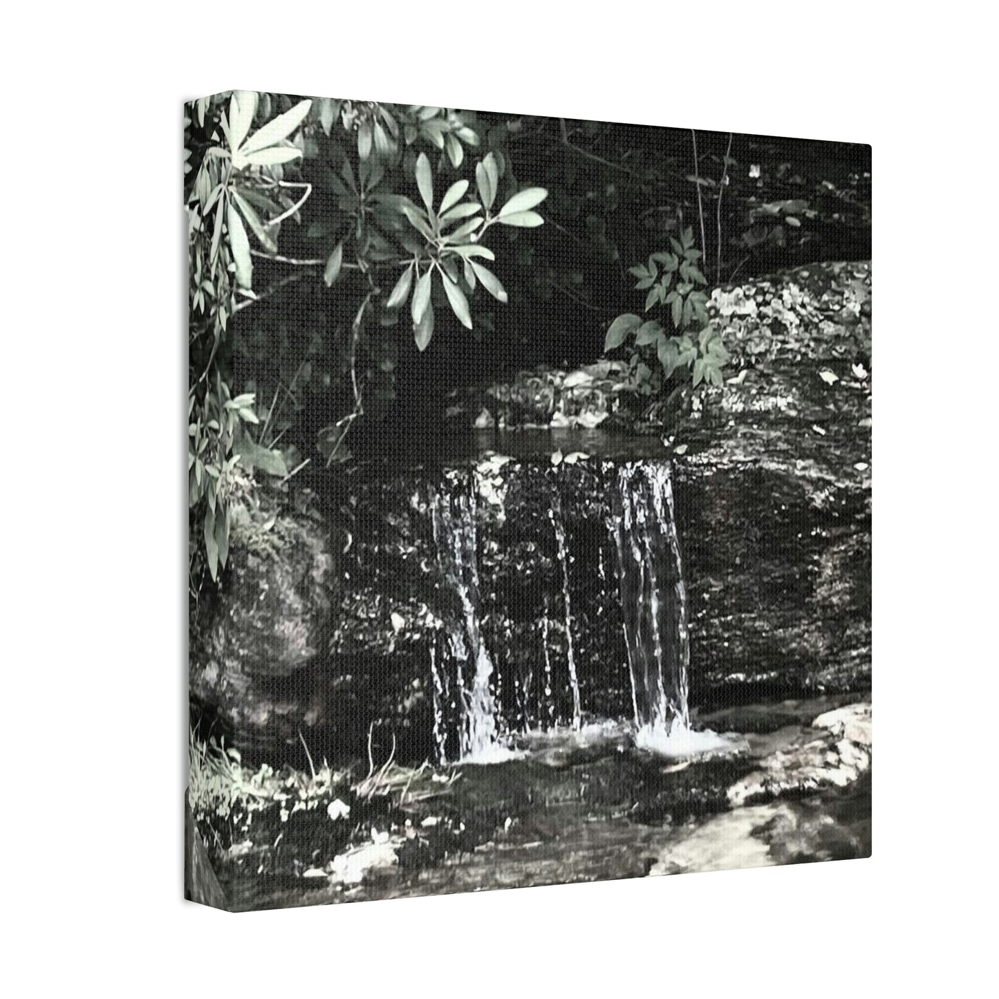 B&W Mini Falls