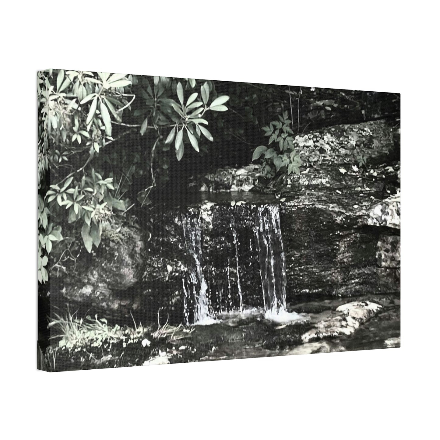 B&W Mini Falls