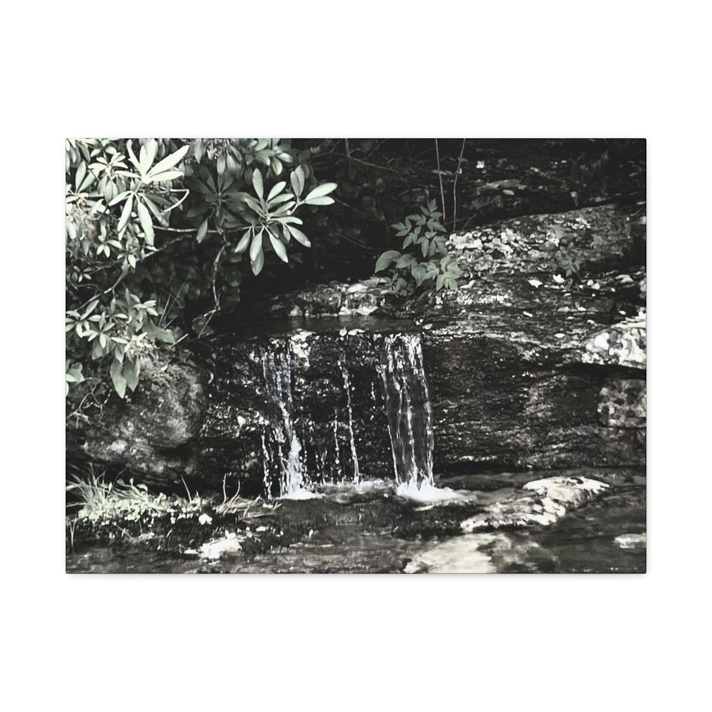 B&W Mini Falls