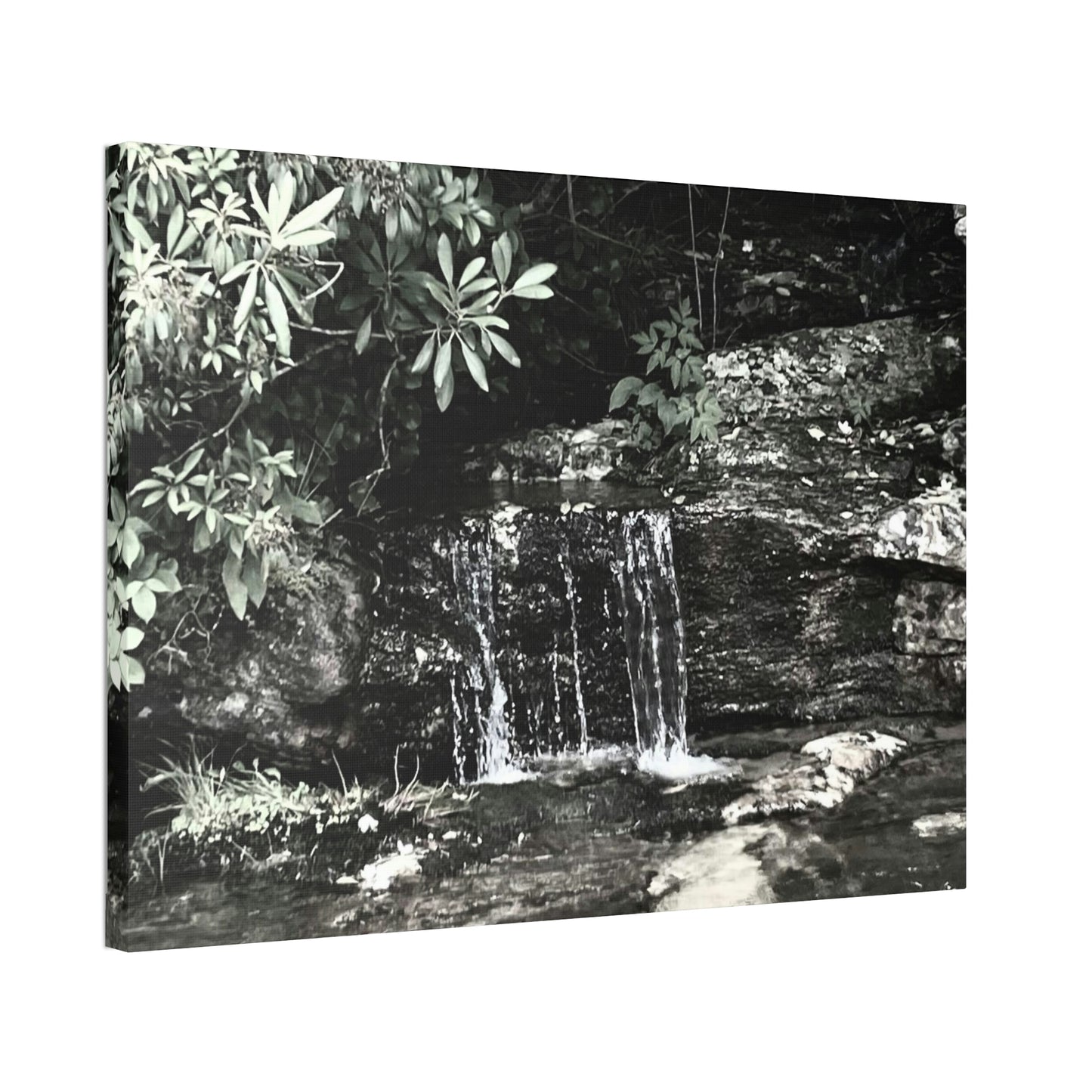 B&W Mini Falls