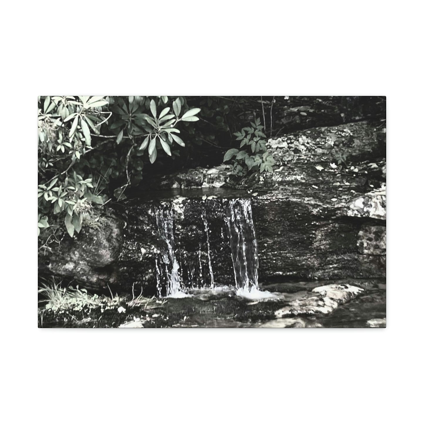 B&W Mini Falls