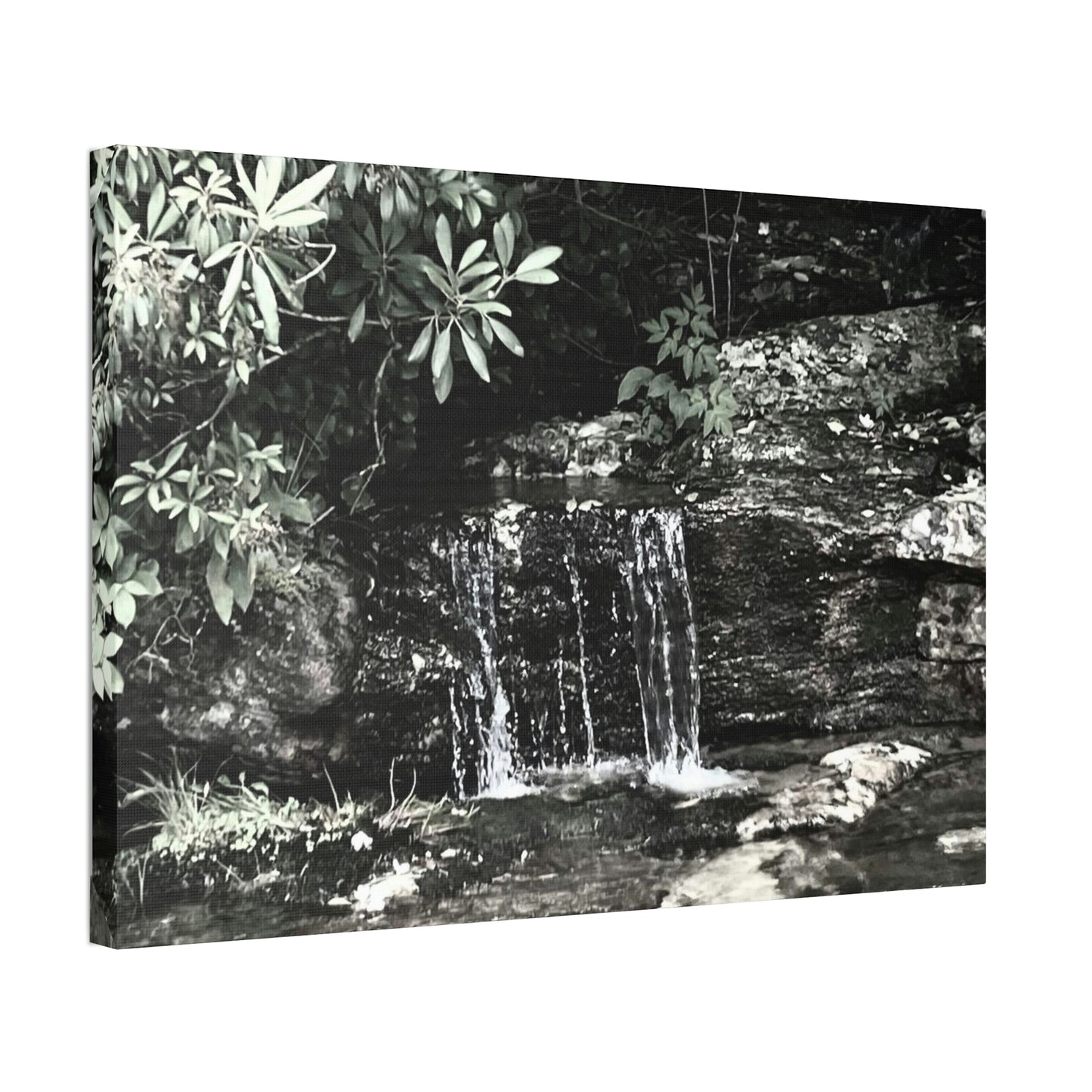 B&W Mini Falls