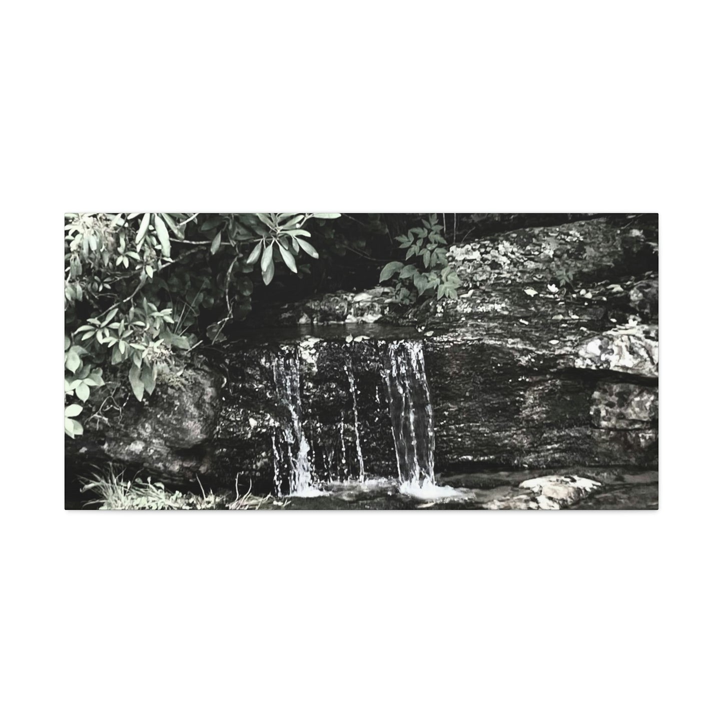 B&W Mini Falls