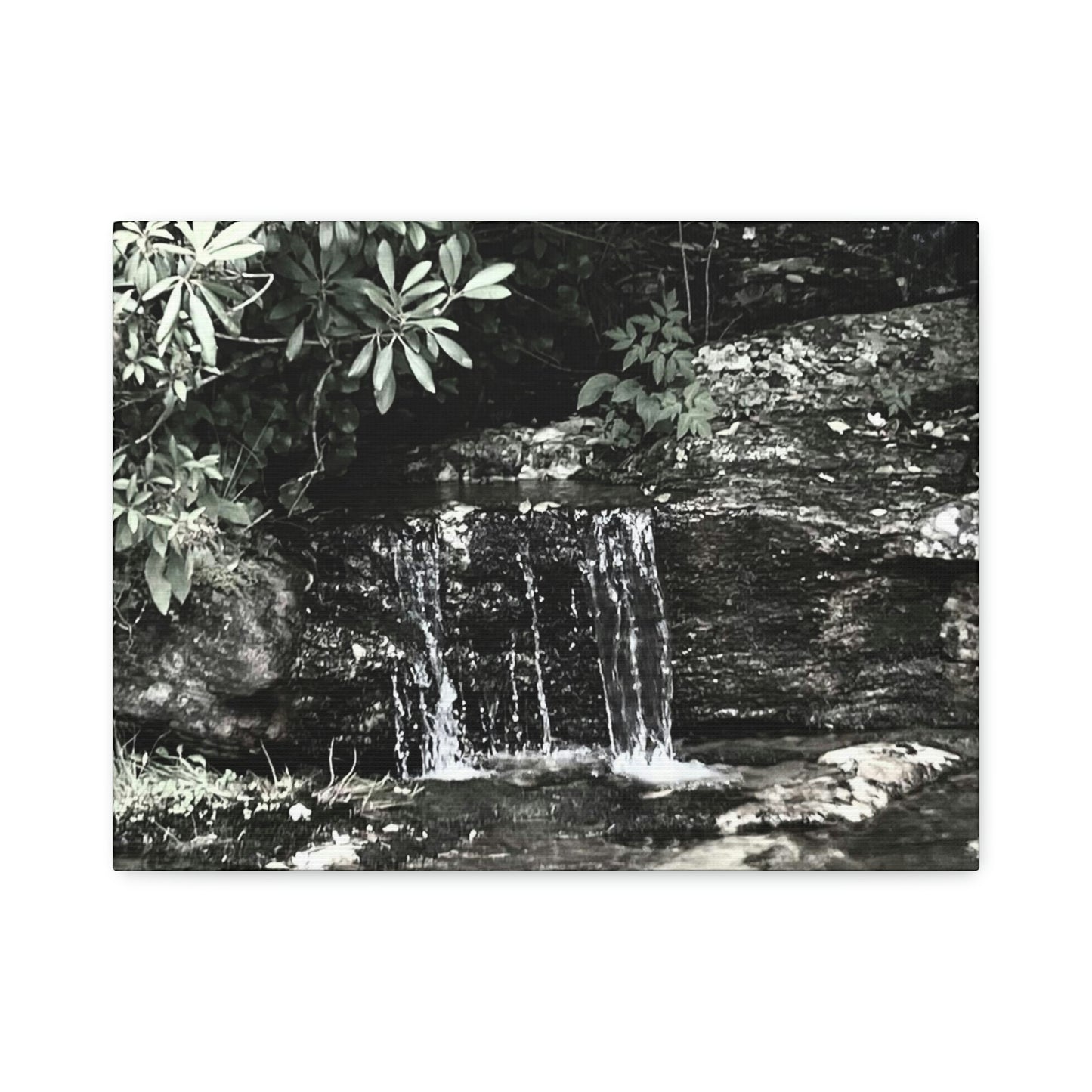 B&W Mini Falls