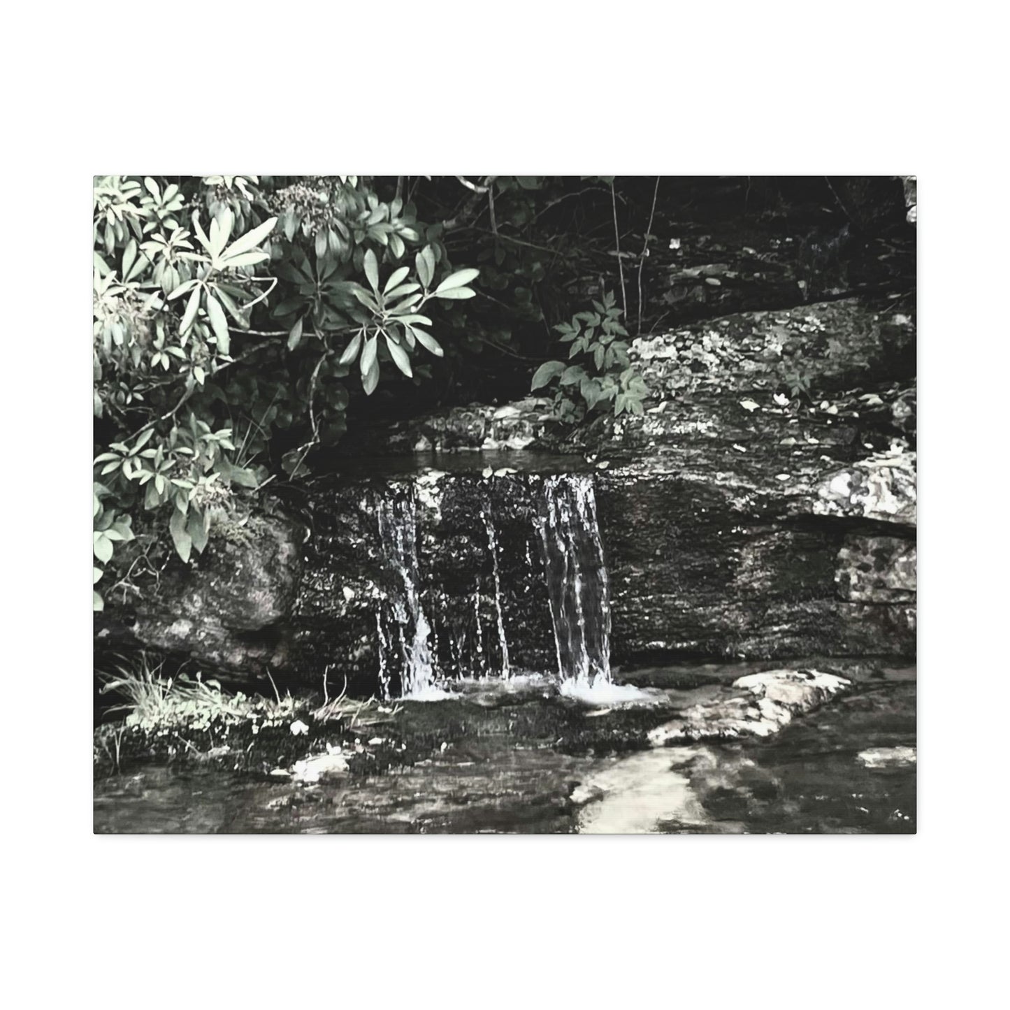 B&W Mini Falls