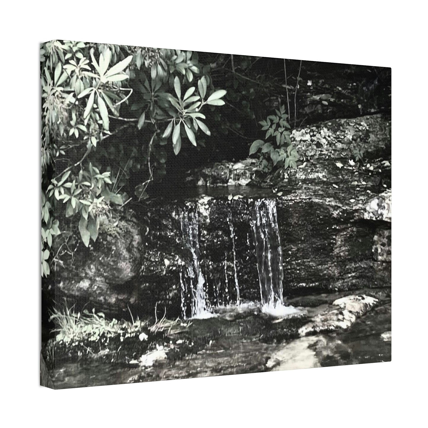 B&W Mini Falls