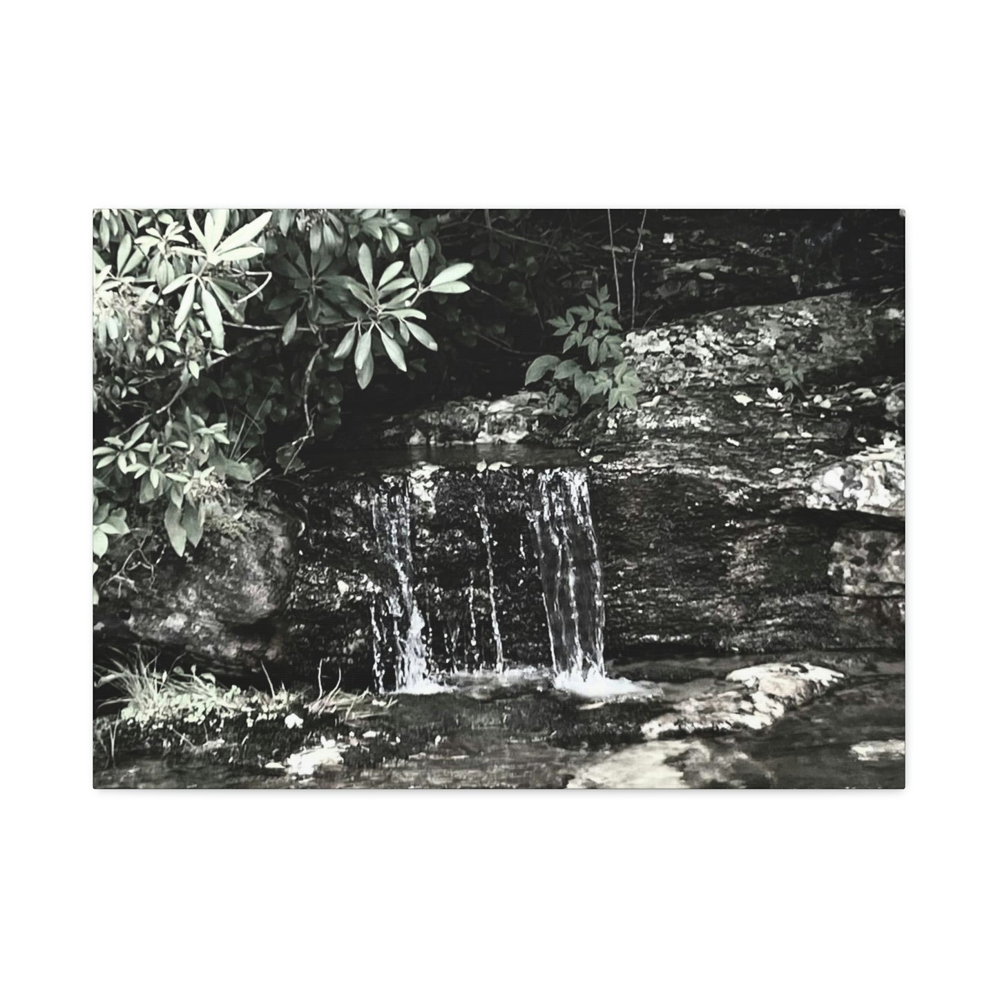 B&W Mini Falls
