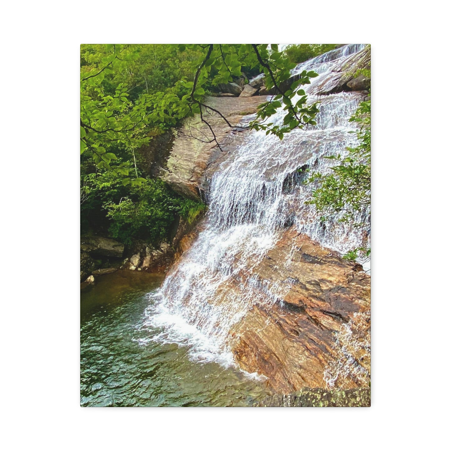 Lower Falls