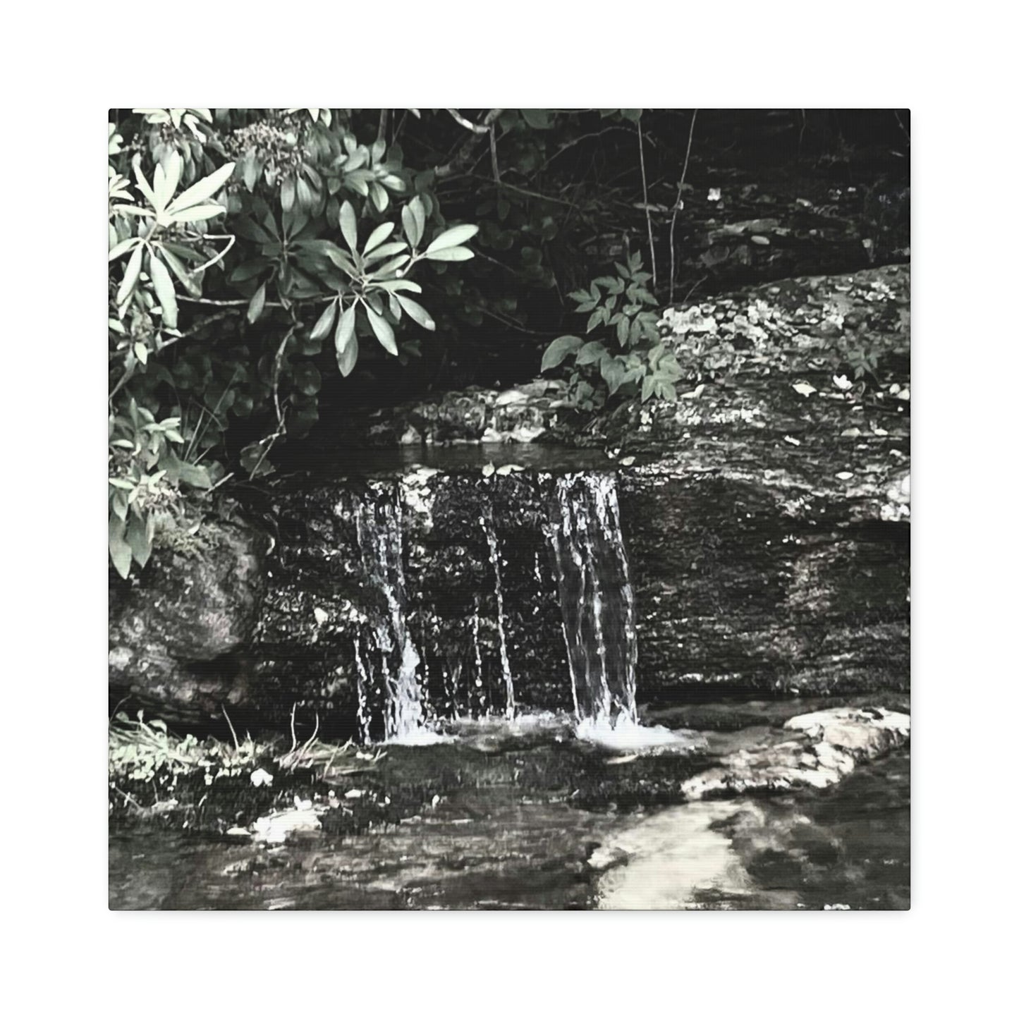 B&W Mini Falls