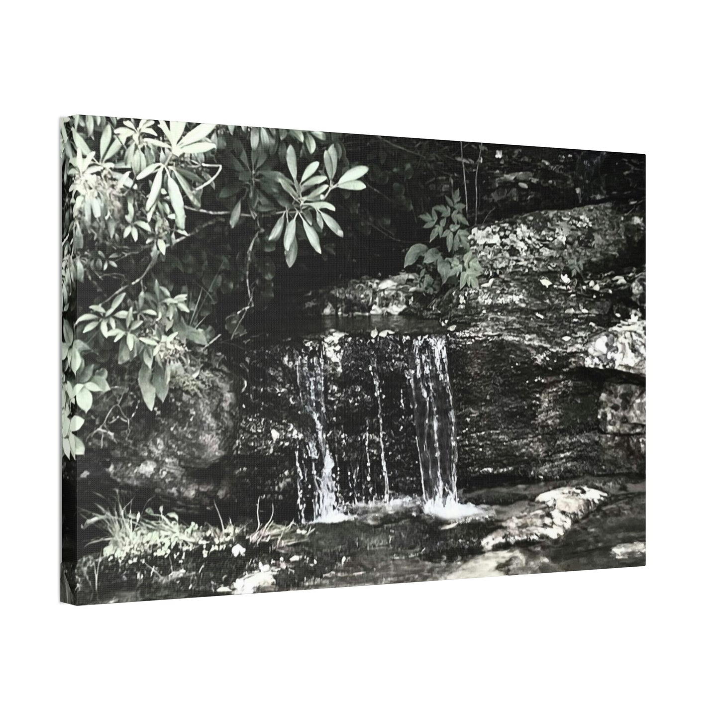 B&W Mini Falls