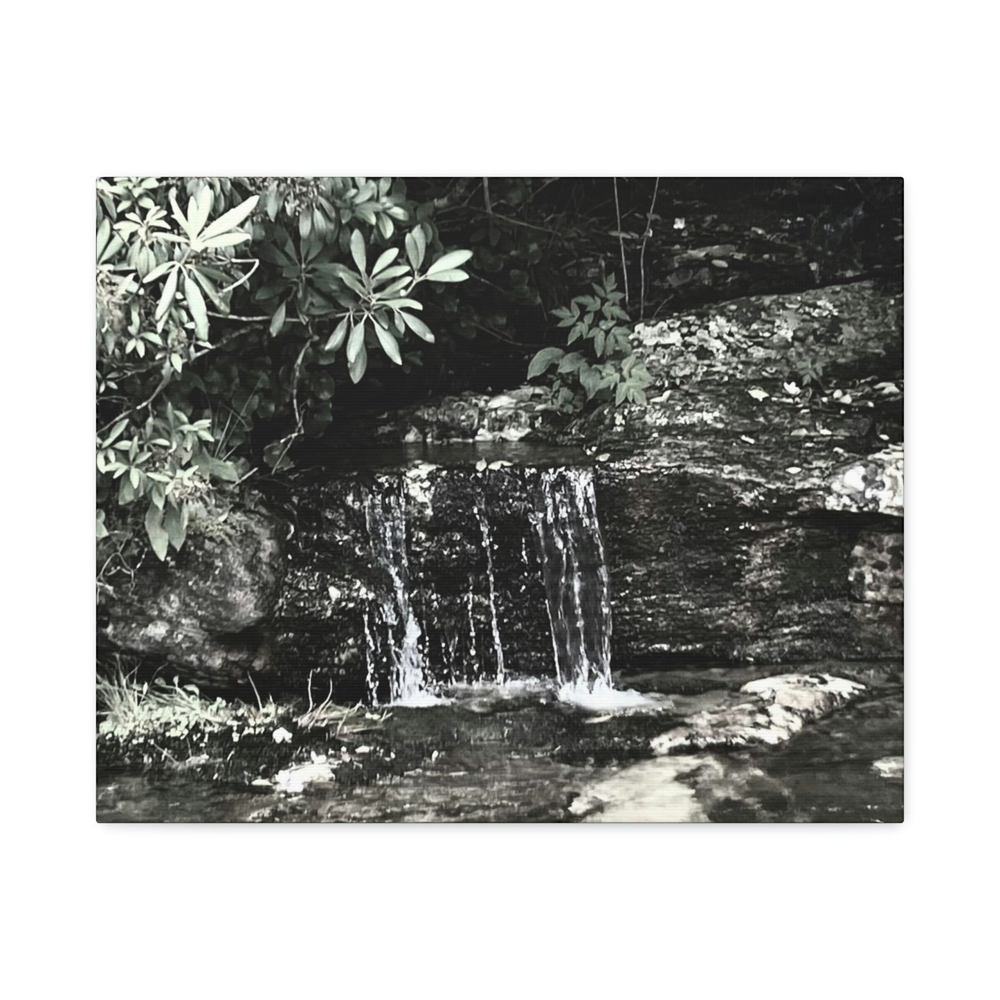 B&W Mini Falls