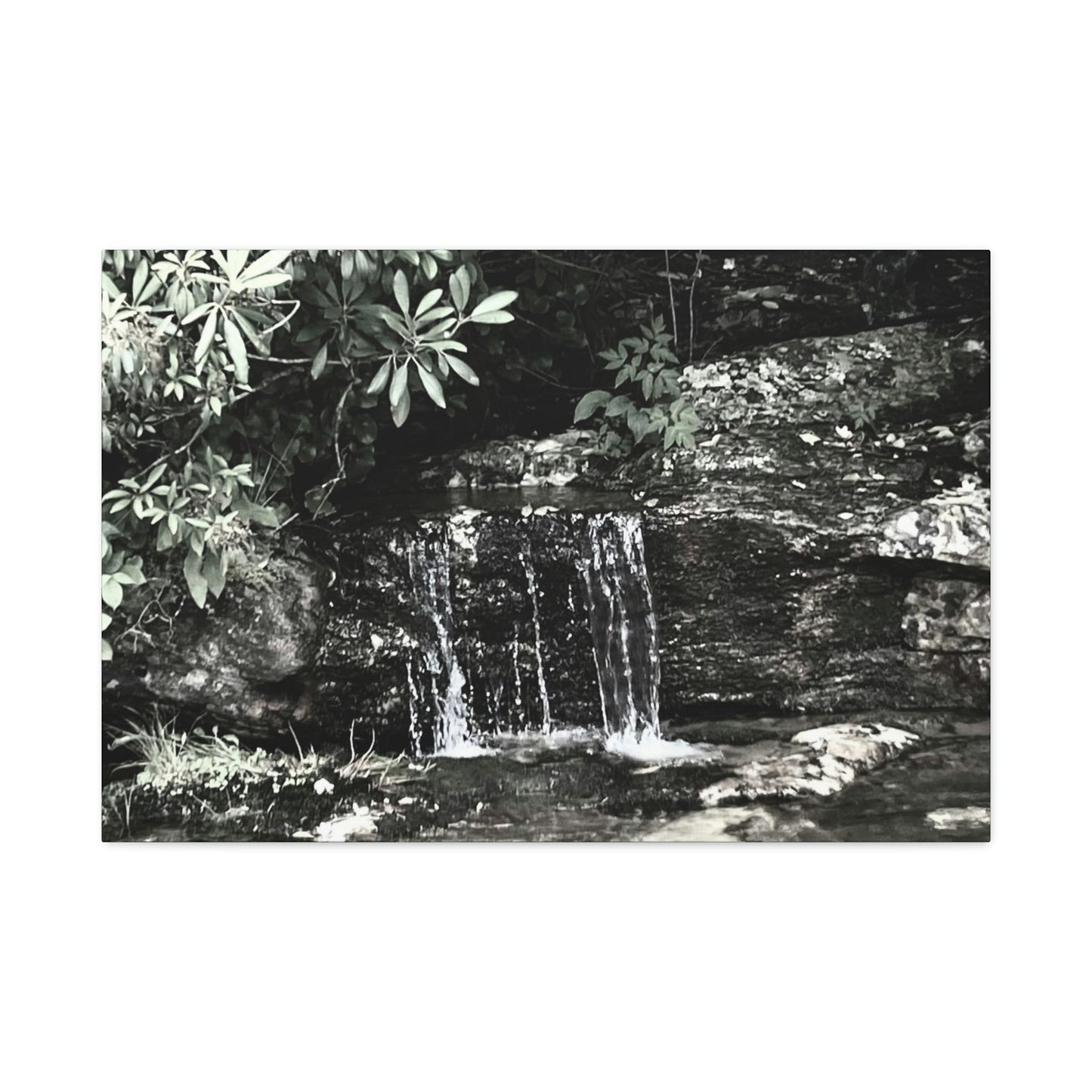 B&W Mini Falls