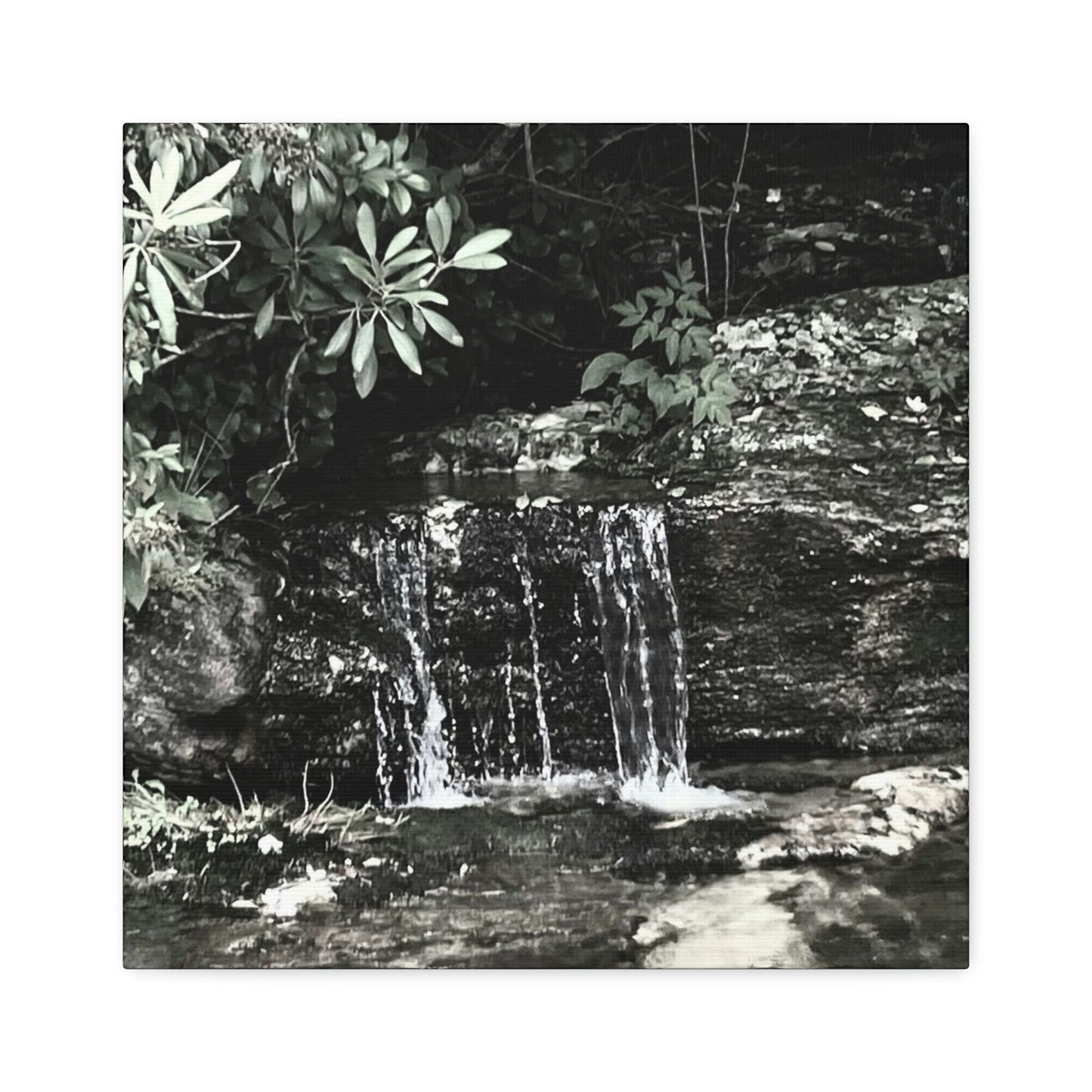 B&W Mini Falls