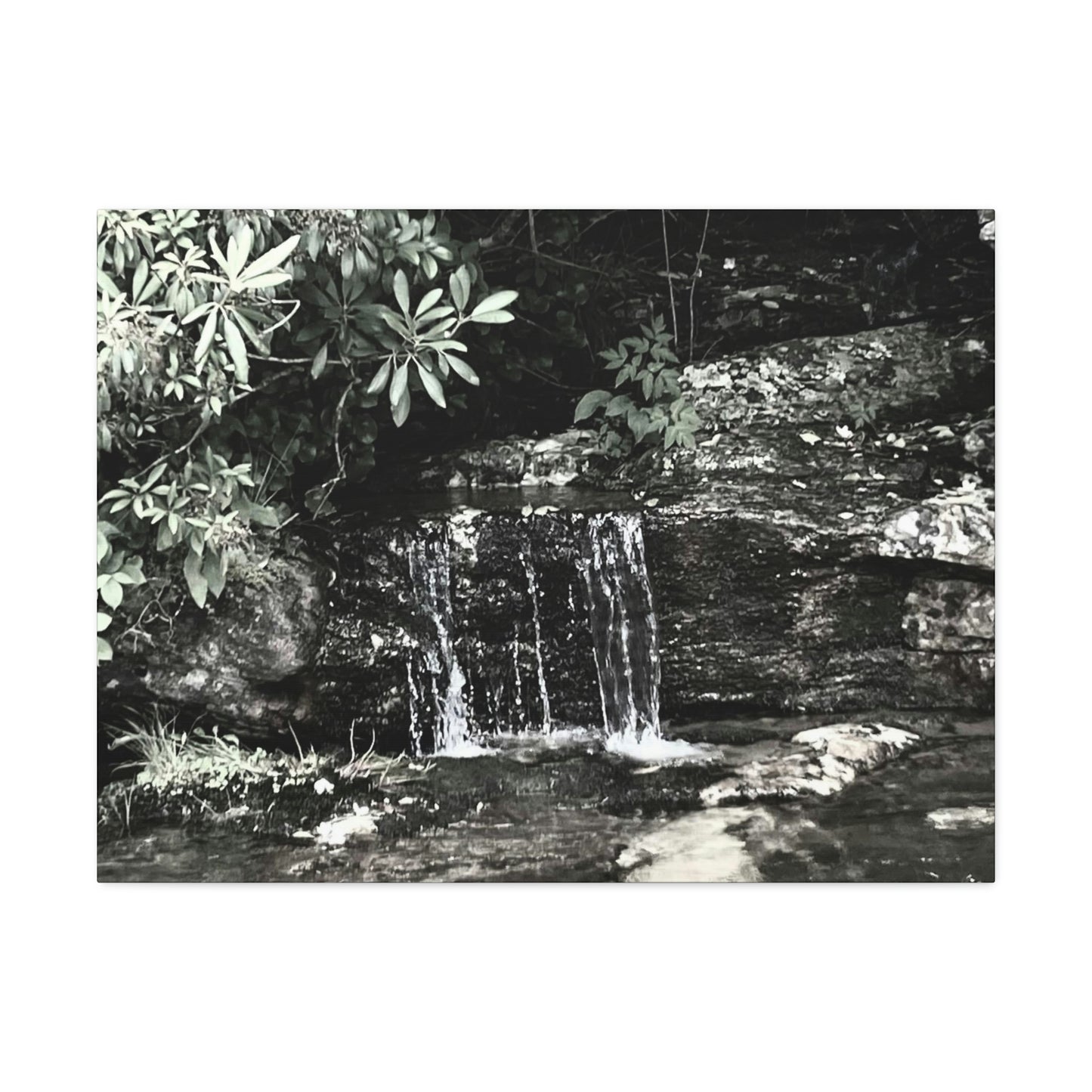 B&W Mini Falls