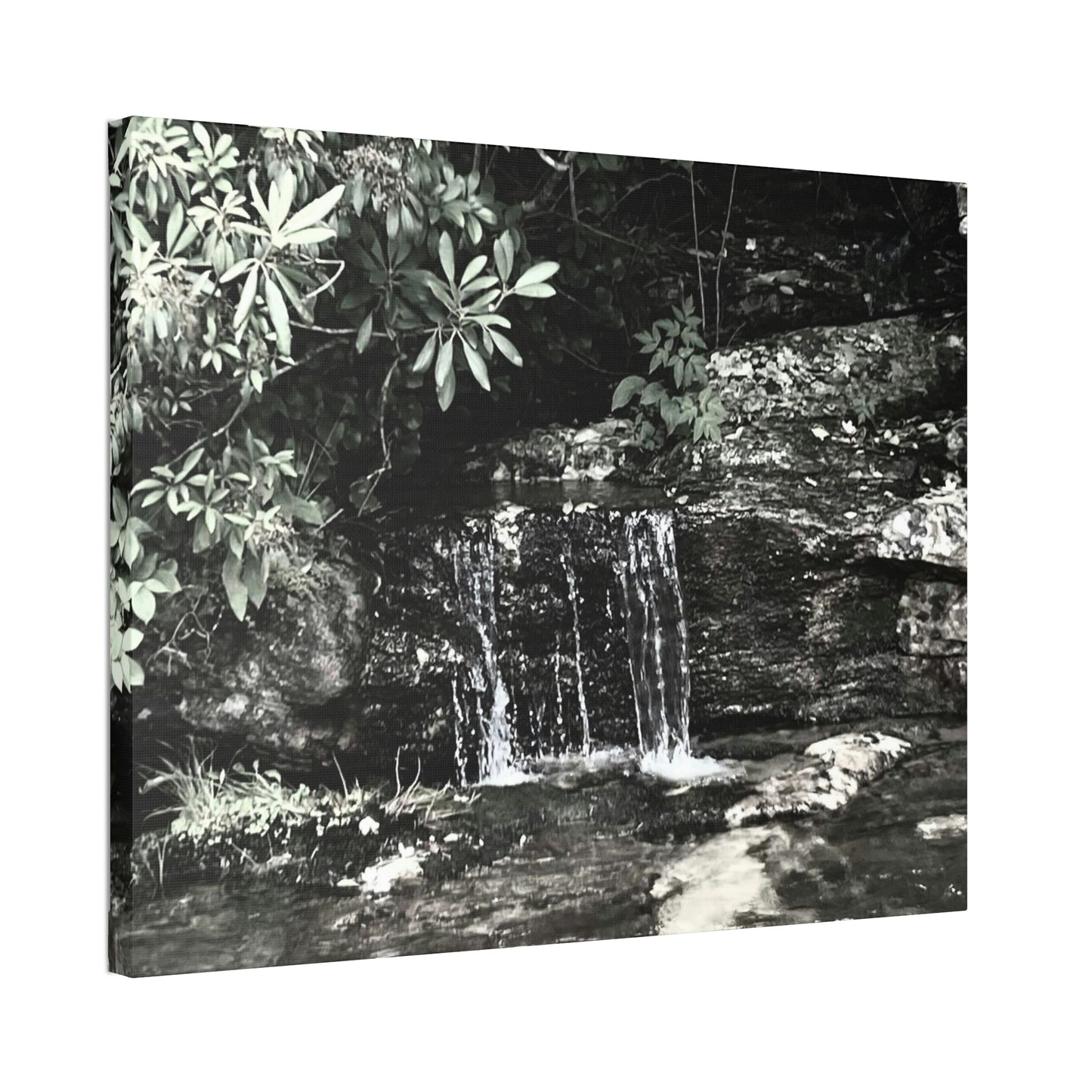 B&W Mini Falls