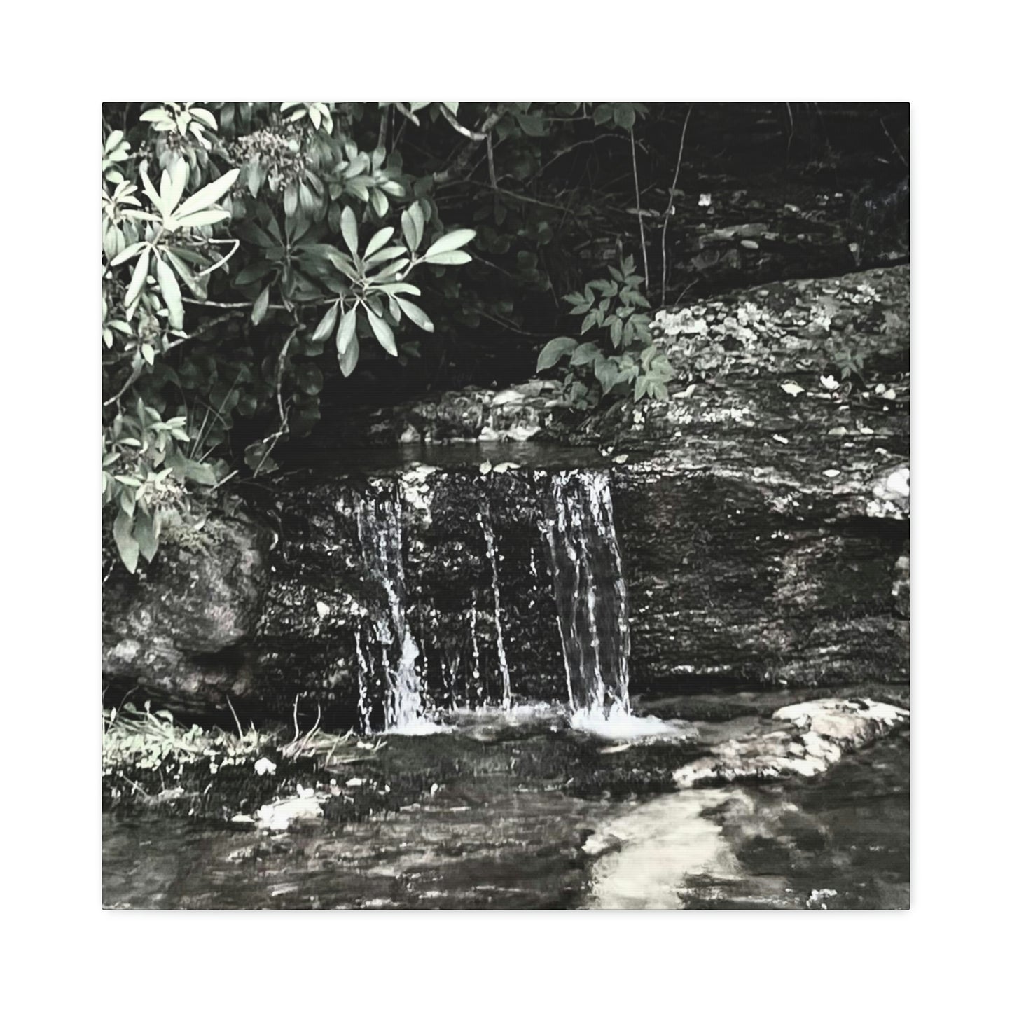 B&W Mini Falls