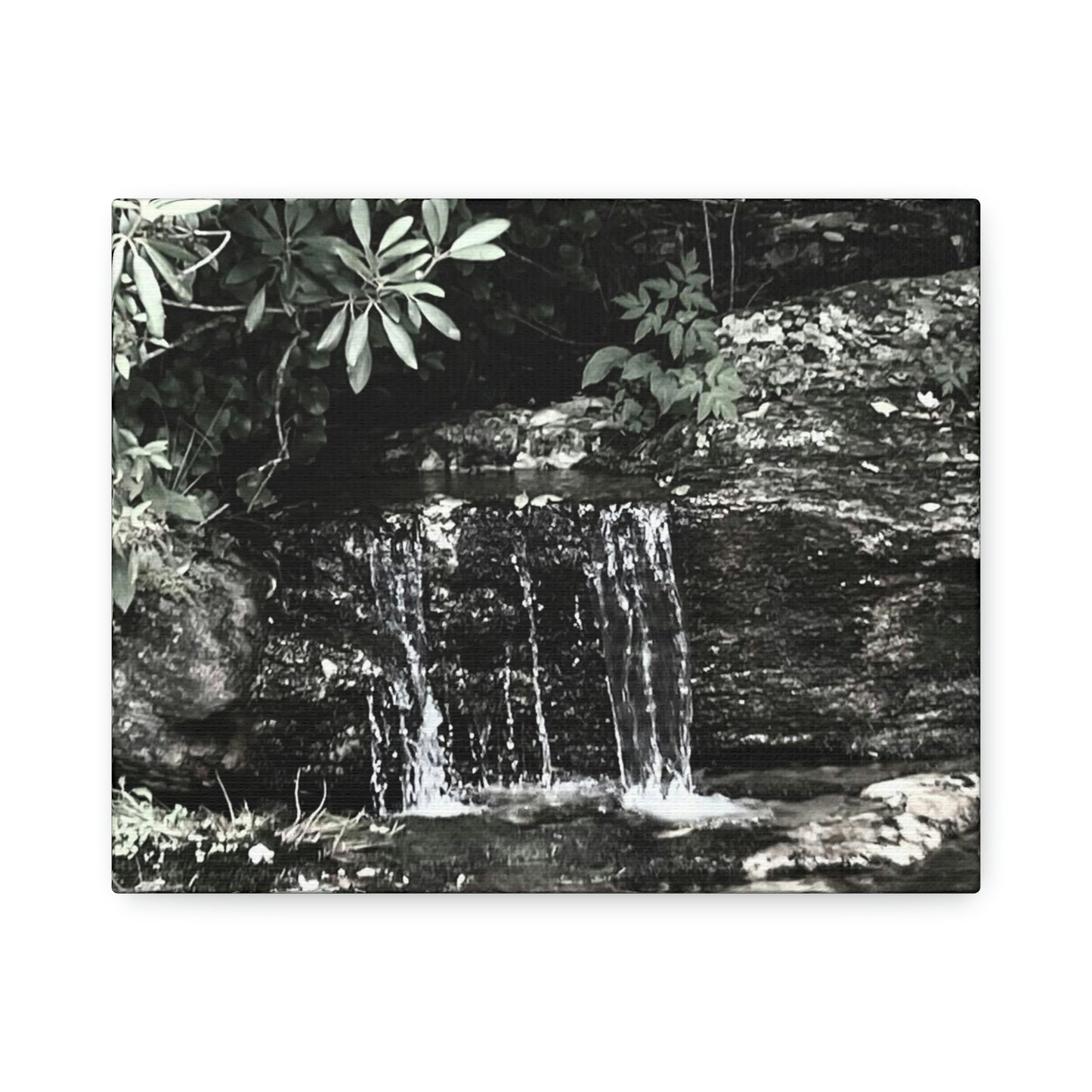 B&W Mini Falls