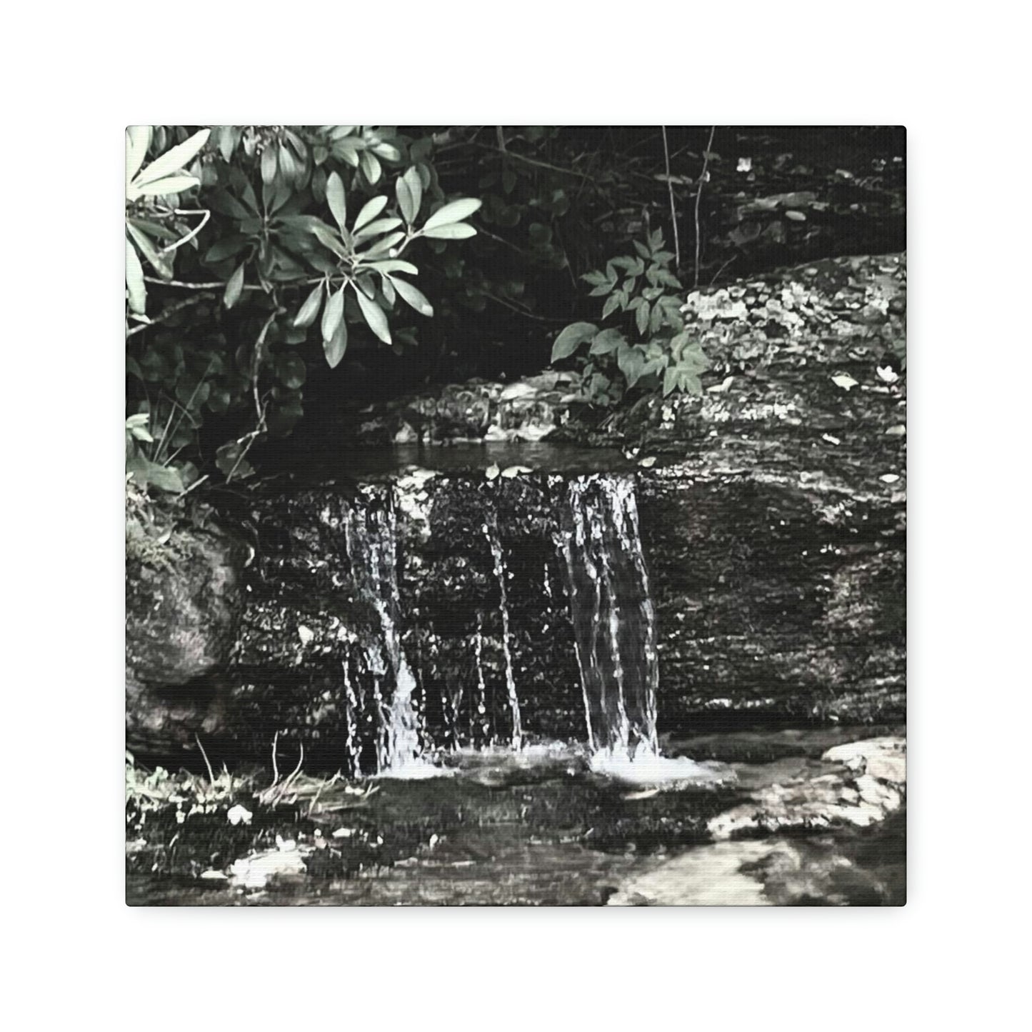B&W Mini Falls