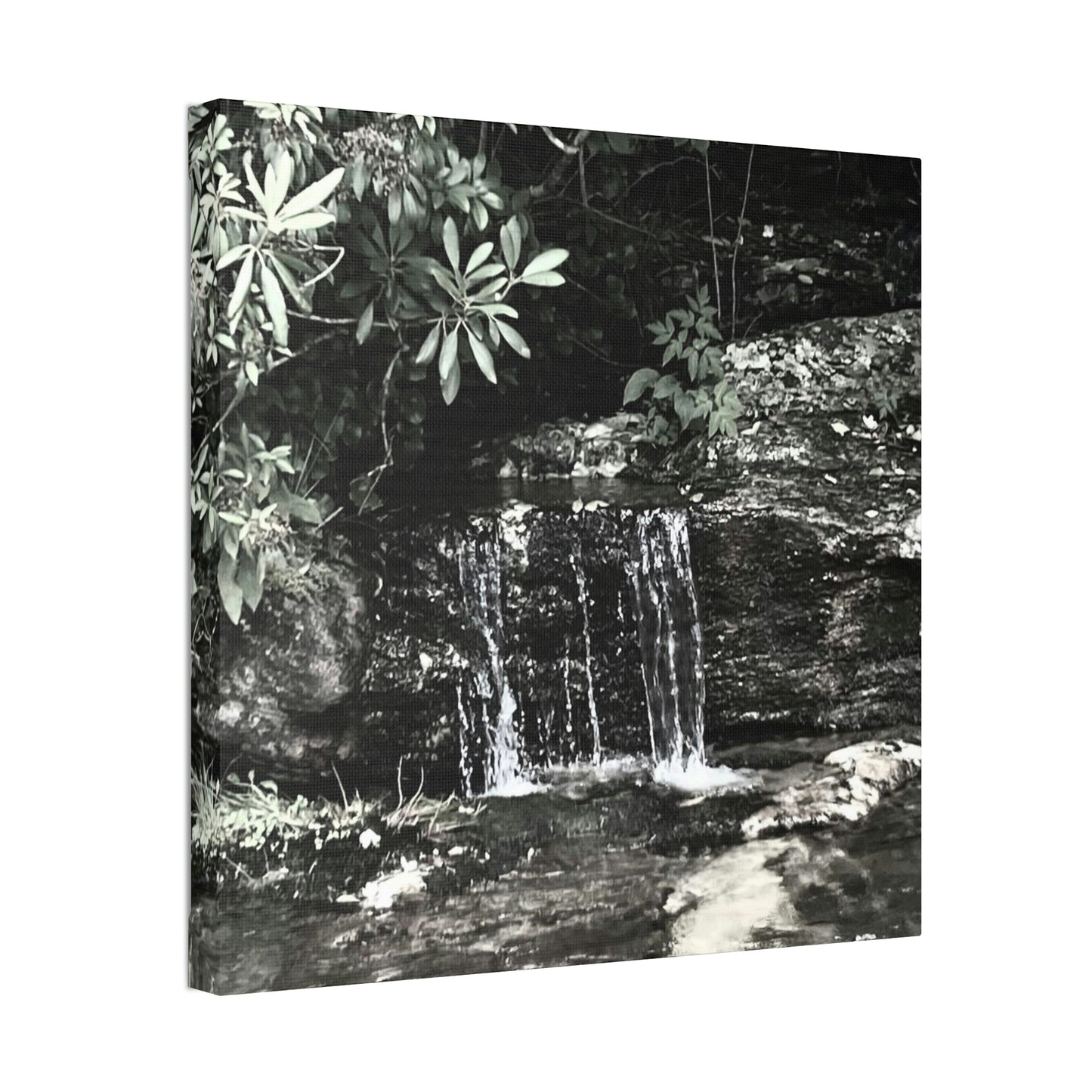 B&W Mini Falls
