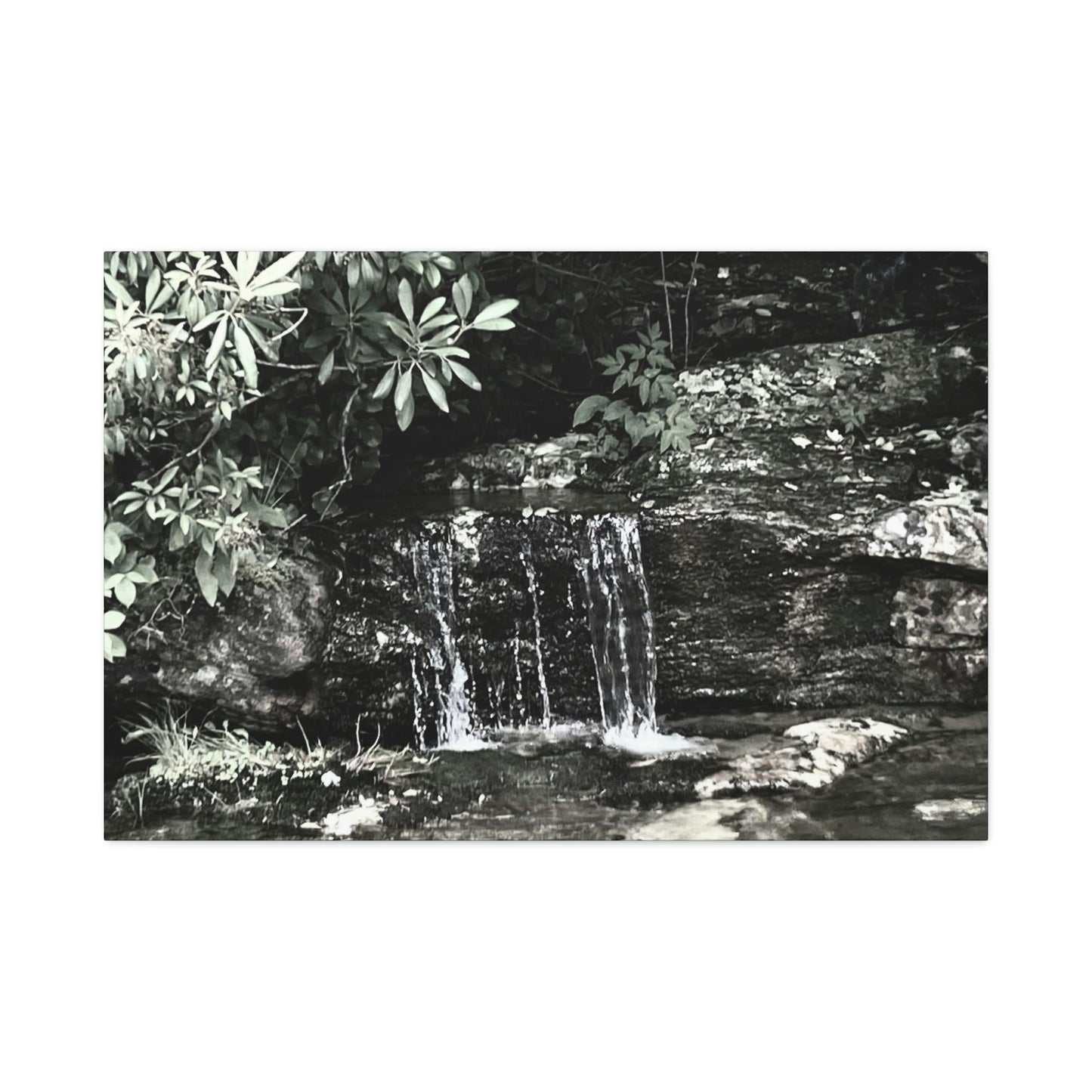 B&W Mini Falls