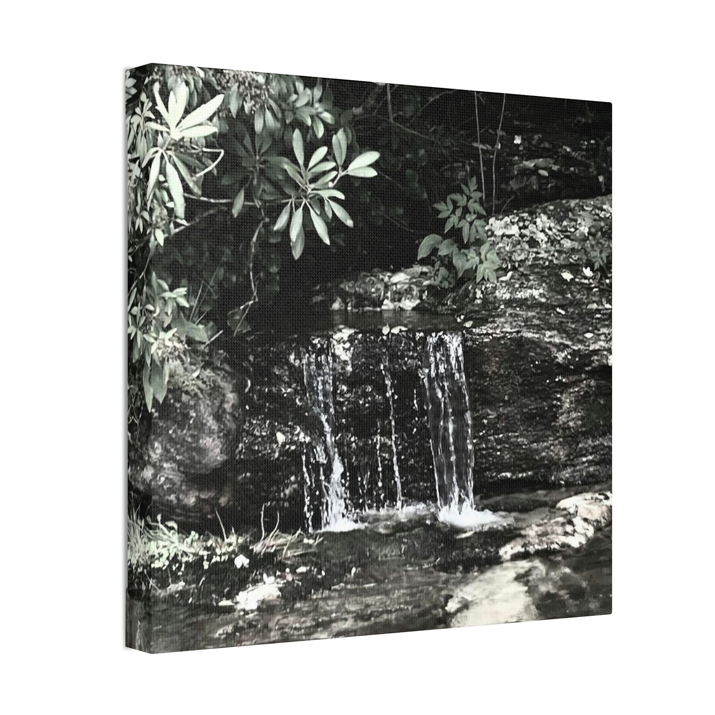 B&W Mini Falls