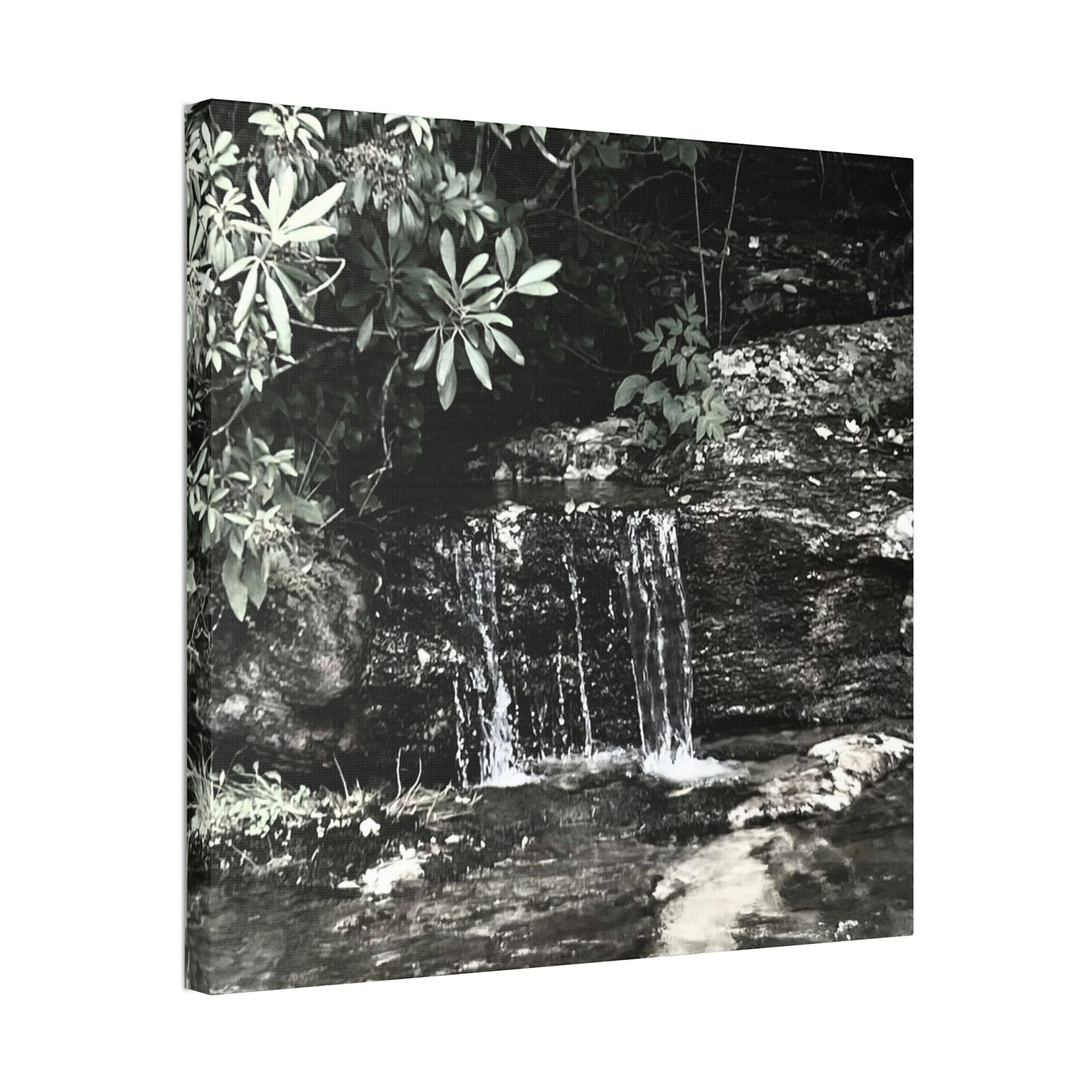 B&W Mini Falls