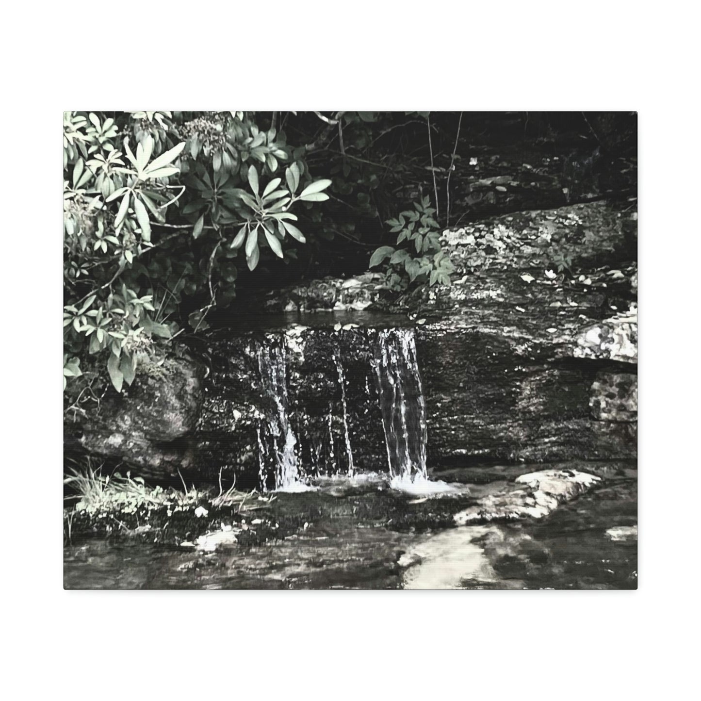 B&W Mini Falls