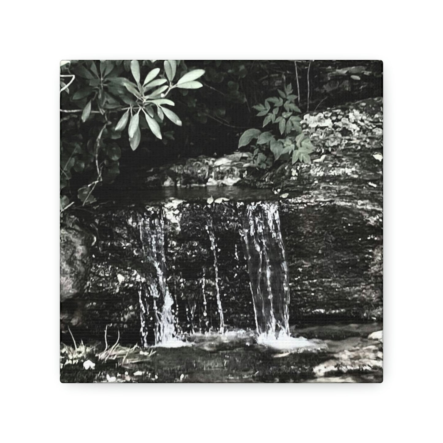 B&W Mini Falls