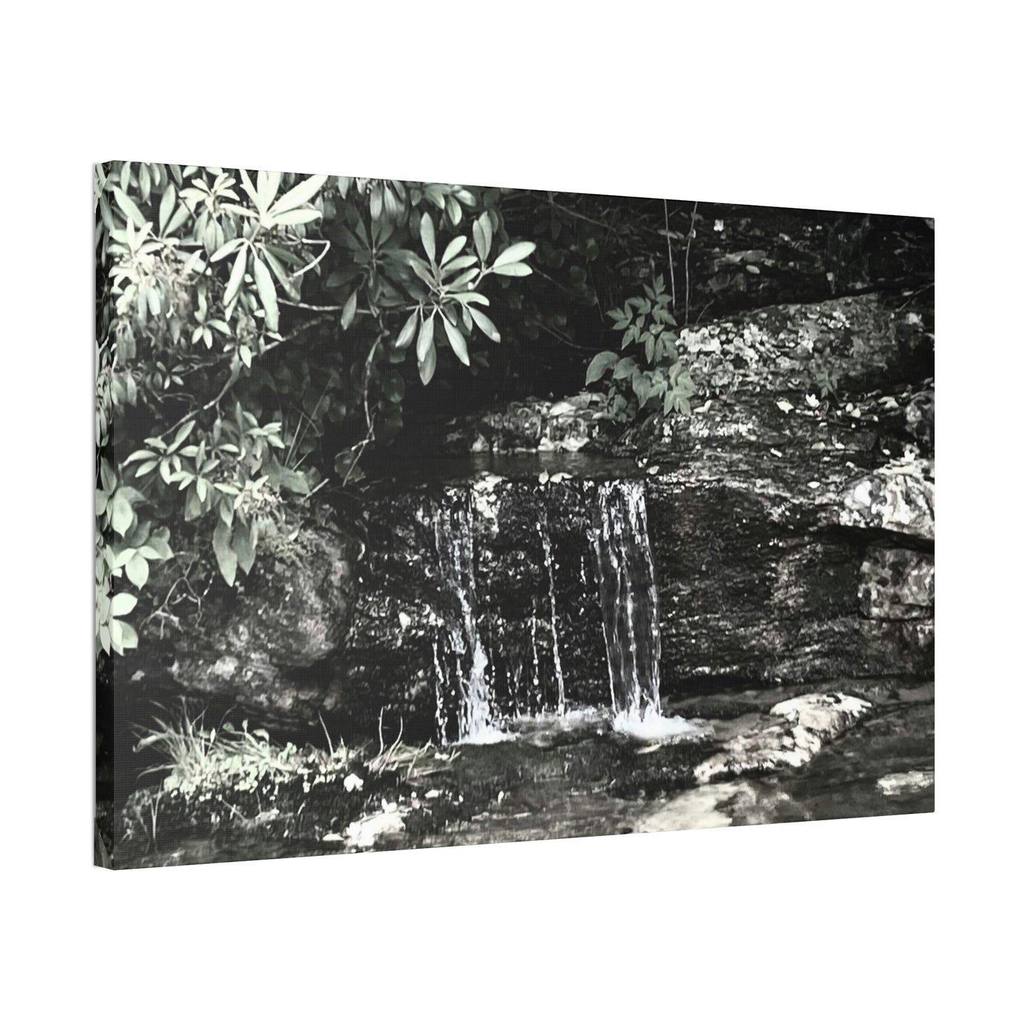B&W Mini Falls