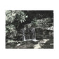 B&W Mini Falls