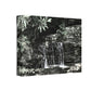 B&W Mini Falls