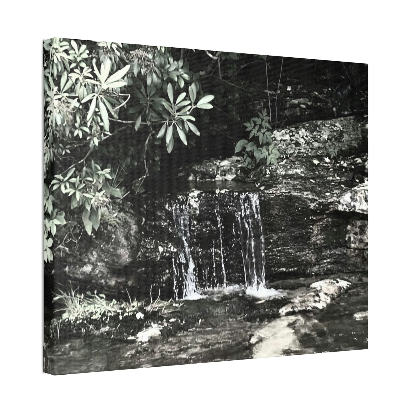 B&W Mini Falls