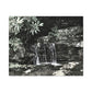 B&W Mini Falls