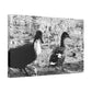 BW Ducks