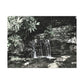 B&W Mini Falls