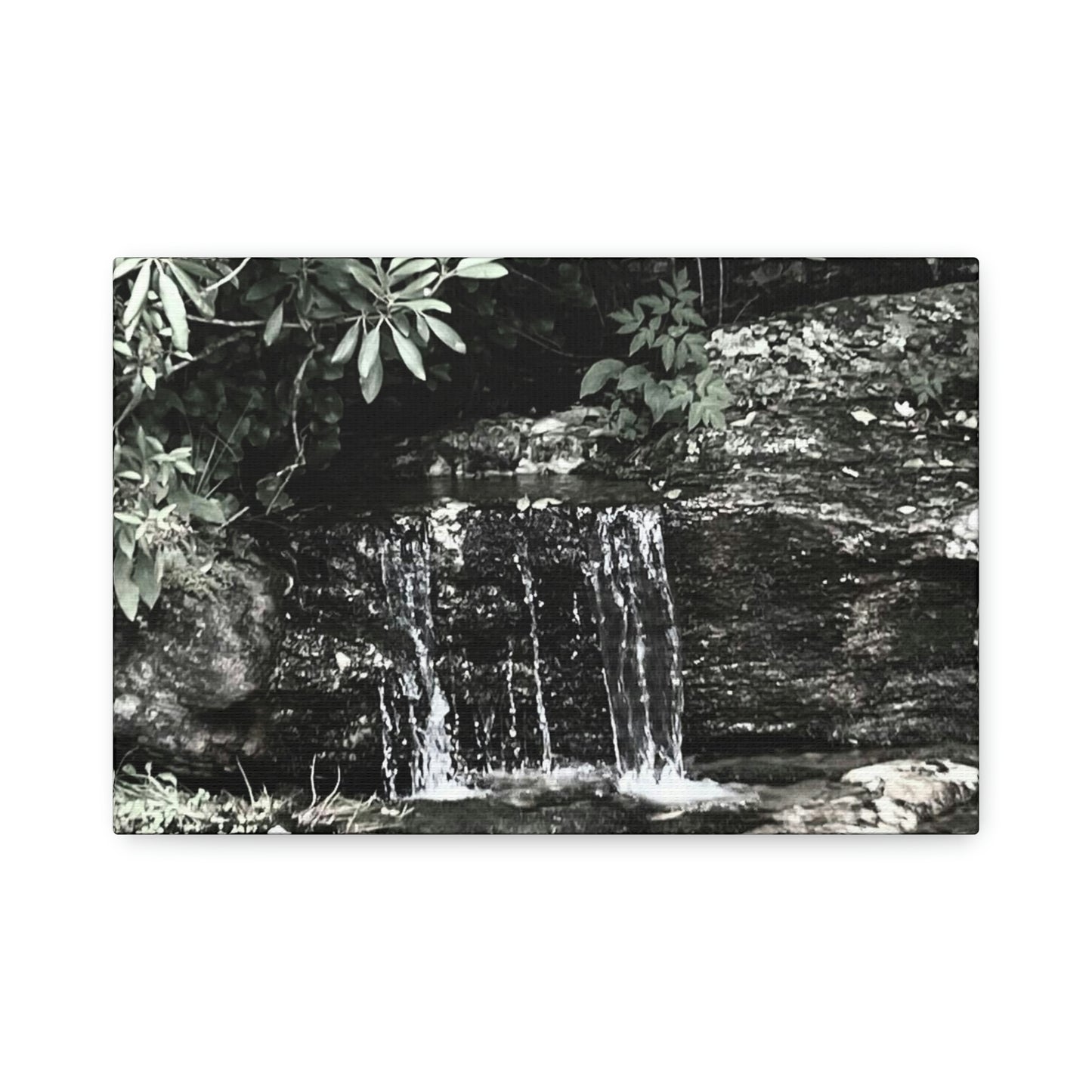 B&W Mini Falls