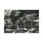 B&W Mini Falls