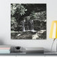 B&W Mini Falls